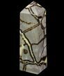 Polished Septarian Obelisk - Madagascar #83305-1